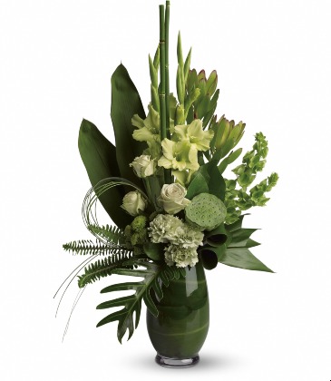 T*  LIMELIGHT   T86-1  in Fort Worth, TX | DAVIS FLORAL DESIGNS