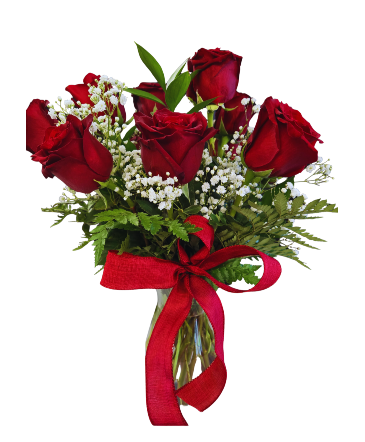 *Limited Time Special Nov 6-8th  Roses in a Vase (dozen) in North Bay, ON | ROSE BOWL FLORIST