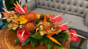 Lioness Pop-Rocks in Fort Lauderdale, FL | YACHT FLOWERS Lioness Pop-Rocks in Fort Lauderdale, FL | YACHT FLOWERS