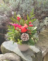 Little Beauty Winter Arrangement