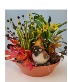 Little Bird Dish Garden 