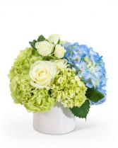 Little Blessing Flower Arrangement