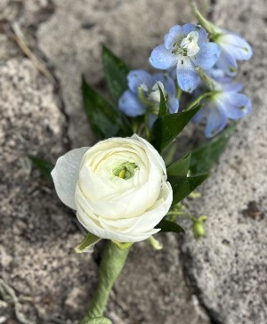 Little blooms with blue  Boutonniere 