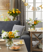 Little Cherub Trio  Bundle 