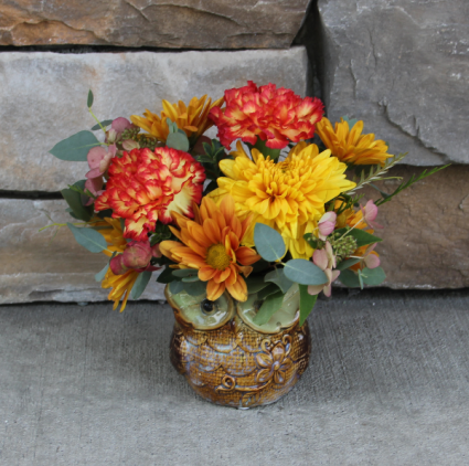 Little Hoots Fall Flower Arrangement
