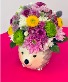 Little Ms.Hedgehog  Mug Arrangement Florist Design 