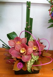 Little Orchid Dish Arrangement