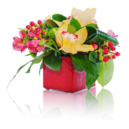 Little Present Floral Arrangement