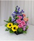 Little Ray of Sunshine Colors/Flowers May Vary