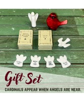 Little Sympathy  Gift Set