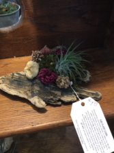 Live air plant arrangement  