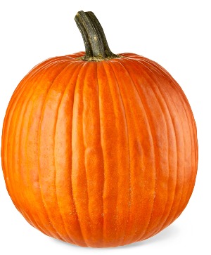 Live Large Pumpkin  