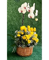 Live Orchids with Fresh Cut Florals Potted Plant with Fresh Cut Blooms
