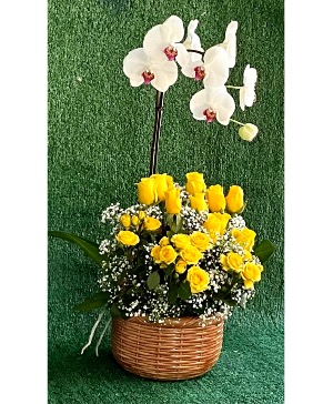 Live Orchids with Fresh Cut Florals Potted Plant with Fresh Cut Blooms