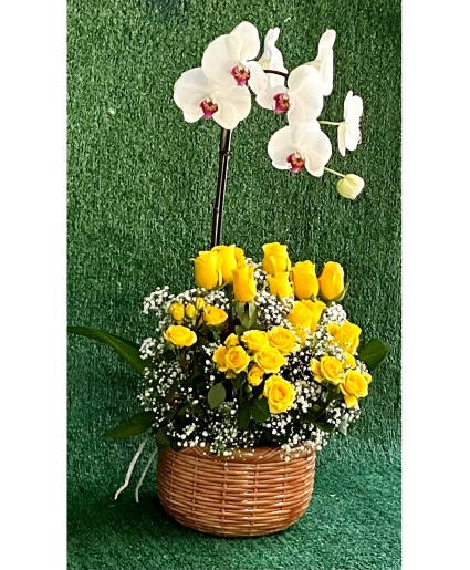 Live Orchids with Fresh Cut Florals Potted Plant with Fresh Cut Blooms