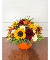 Live Pumpkin Fresh Arrangement