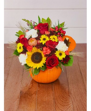 Live Pumpkin Mixed Arrangement