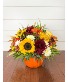 Live Pumpkin Fresh Arrangement