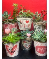 Live Valentine Succulent Planter 