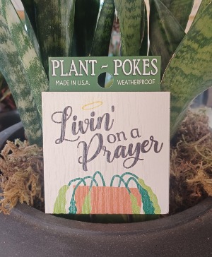 Livin' On A Prayer Plant Stake 