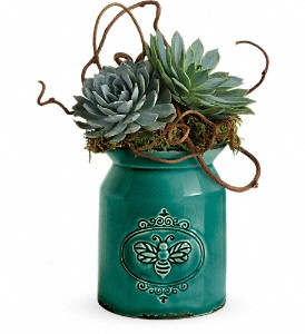 Living Love Garden in Las Vegas, NV | Blooming Memory Living Love Garden in Las Vegas, NV | Blooming Memory