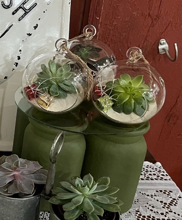 Living Succulent Ornament  in Mazomanie, WI | B-STYLE FLORAL AND GIFTS