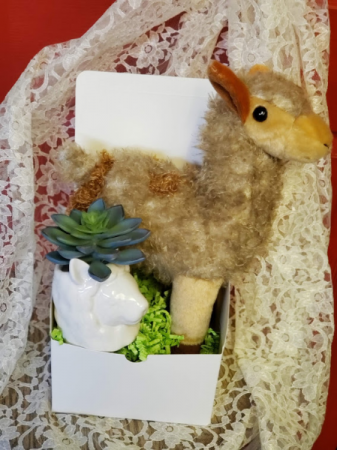 Llama Llove  Gift Box