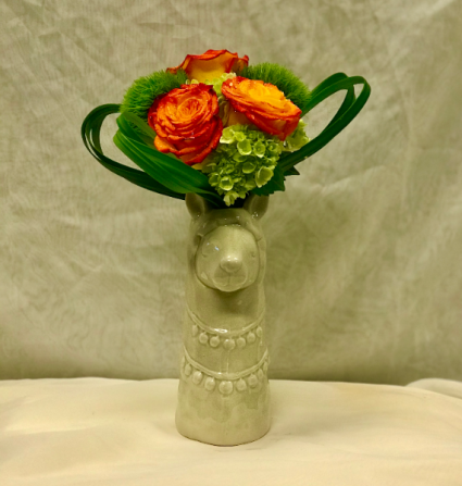 Llama Miranda Fresh Floral Design