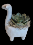 Llama Succulent planter 