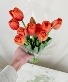 Local Tulip Bunch(es), Various Colors Wrapped Bouquet