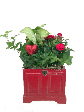 Locket Chest Dish Garden Planted tropical and blooming plants