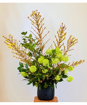 Lofty Forsythia (container upon availability) Tall Arrangement 