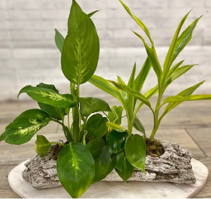 Log Container with Mixed Plants 