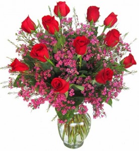 Long Stem Premium Roses