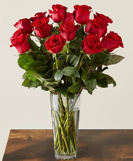 Long Stem Red Rose  Bouquet