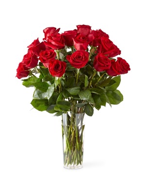 Long Stem Red Rose Bouquet 