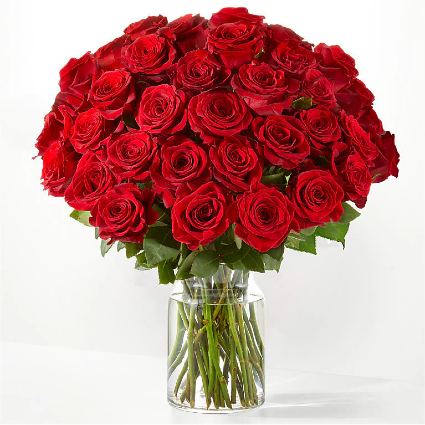 Beautiful Long Stem Red Roses 