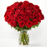 Beautiful Long Stem Red Roses 