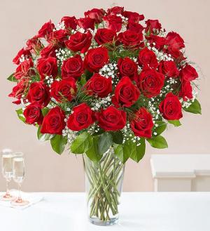 Long Stem Red Roses Elegance 