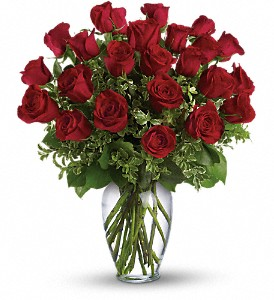 Long Stem Red Roses Roses in Princeton, TX | Princeton Flower and Gift Shop Long Stem Red Roses Roses in Princeton, TX | Princeton Flower and Gift Shop
