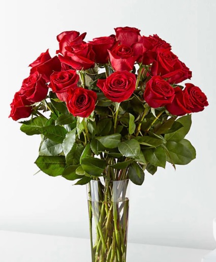 Long stem red roses Valentine’s Day 