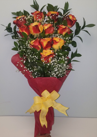 Long Stem Roses - 1 DZ