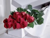 Long Stem Roses in Gift Box Boxed Roses