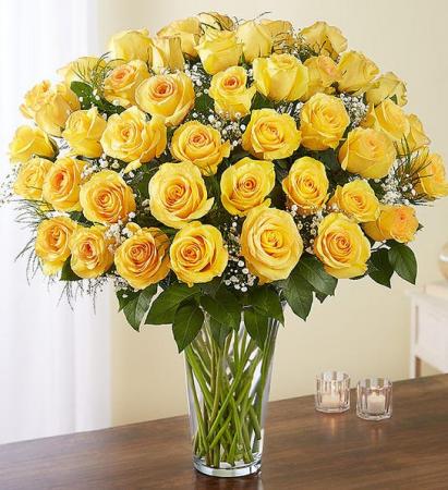 Long Stem Yellow Roses 