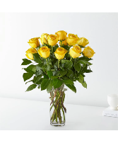 Long Stemmed Yellow Roses All around