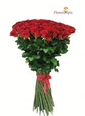 Long Stems Red Roses - 3 feet Luxury Roses