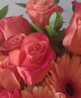 Loose red roses Loose