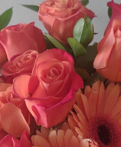 Loose red roses Loose