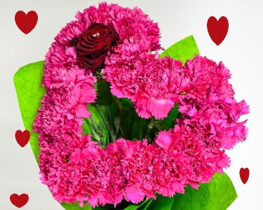 Lots of Heart Hand Tie Carnation and Rose Heart