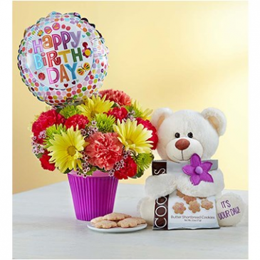 LOTSA LOVE BIRTHDAY